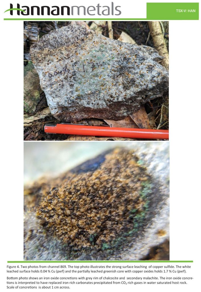 2024 03 20 Han Fig 4